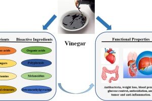 apple cider vinager for keto