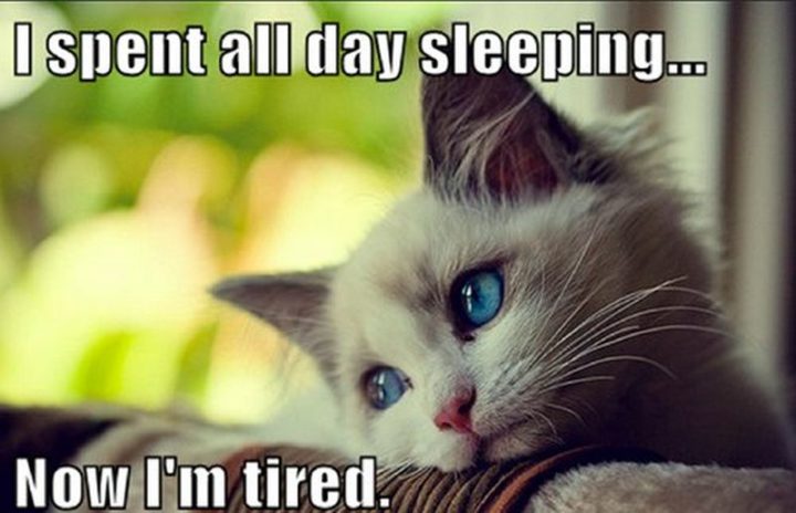 funny memes about being tired