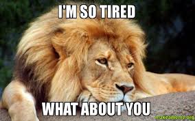 funny memes about being tired