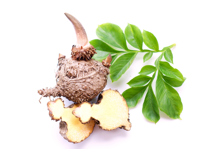 Glucomannan