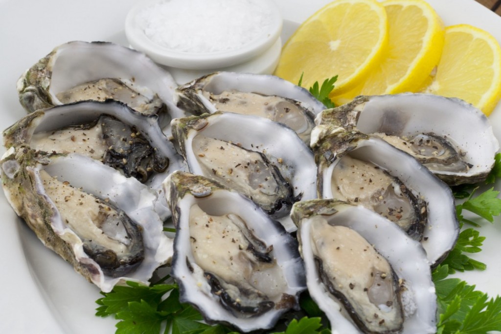 Oysters: Australia's Coffin Bay