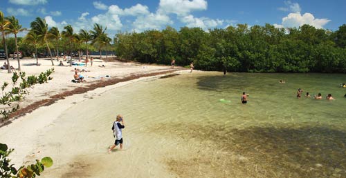 John Pennekamp Coral Reef State Park, Key Largo