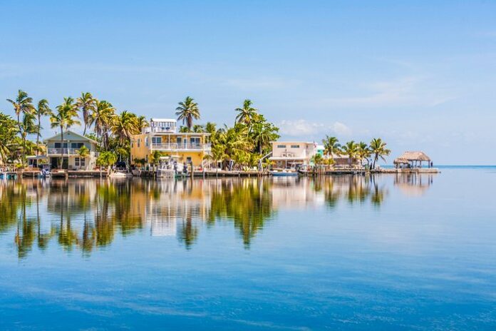 Snorkeling Spots in the Florida Keys