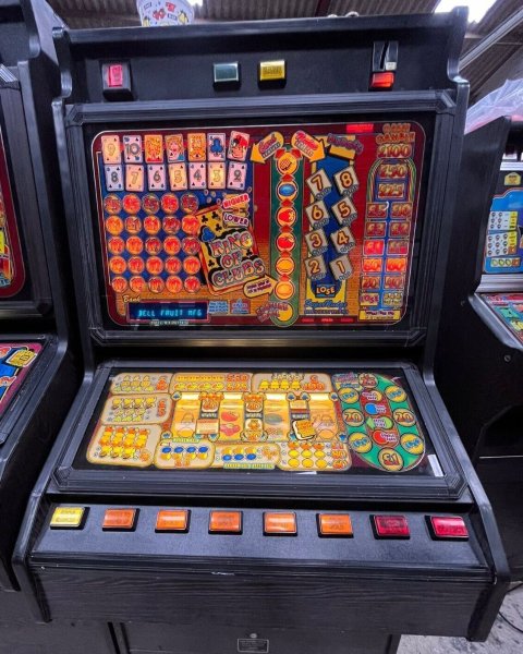 m fortune no deposit bonus