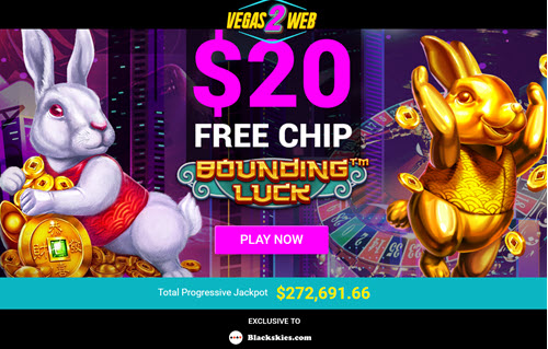 u.s. online bingo no deposit bonuses